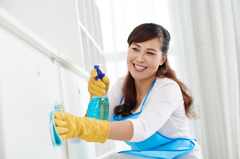 Regimul muncii al angajaților în serviciul domestic