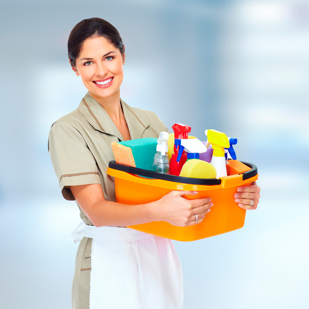 Regimul Muncii Al Angajaților în Serviciul Domestic Avocat Roman